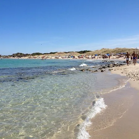 Bice In Salento *